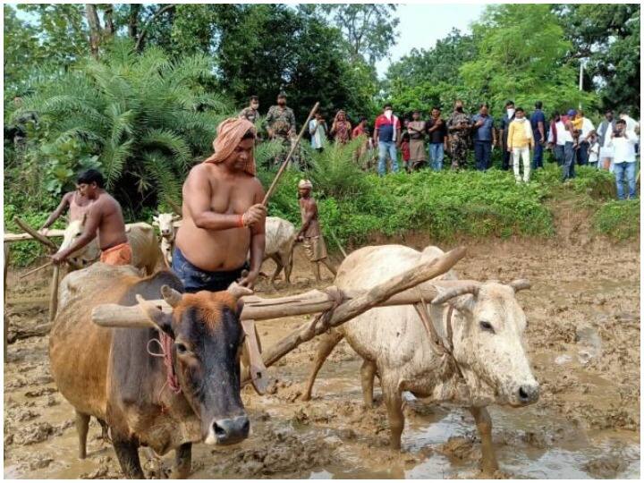 झारखंड के श्रम मंत्री ने खेतों में उतरकर की धानरोपनी, हल-बैल के साथ की जुताई, देखें तस्वीरें Jharkhand Labour Minister to the fields and ploughs see pictures झारखंड के श्रम मंत्री ने खेतों में उतरकर की धानरोपनी, हल-बैल के साथ की जुताई, देखें तस्वीरें