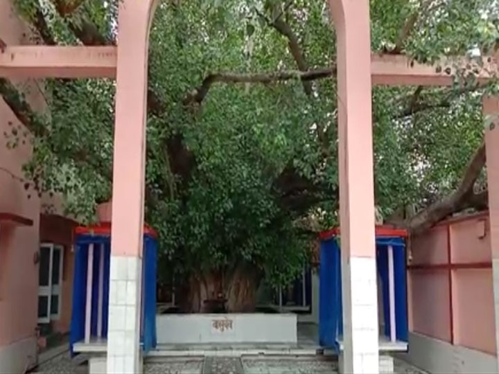 राम मंदिर के भूमि पूजन में इस्तेमाल होने वाला संगम जल और मिट्टी अयोध्या से पहले जाएगी अशोक सिंघल के घर, जानें- वजह