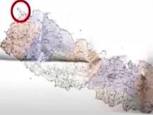 उत्तराखंड: अधिकारी ने खबरों को बताया 'फर्जी', बोले- नेपाली नागरिकों को कालापानी आने से रोकने को नहीं कहा