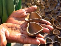 राम मंदिर भूमि पूजन को लेकर प्रयागराज में उत्सव जैसा माहौल, मिट्टी के दीयों के कारोबार में आया जबरदस्त उछाल