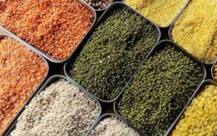 मानसून में सुधार- 45 फीसदी ज्यादा बारिश से दलहन, तिलहन और मोटे अनाज की खेती को फायदा