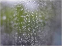 Health Tips: बारिश के मौसम में स्वस्थ रहने के क्या हैं उपाय, वक्त से पहले जान लें आसान समाधान