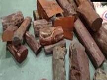 उत्तर प्रदेश के अमरोहा में 50 करोड़ रुपये कीमत की 114 क्विंटल चंदन की लकड़ी जब्त, तीन गिरफ्तार