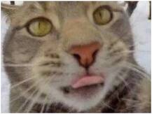 चीन में बुबोनिक प्लेग से मौत का दूसरा मामला दर्ज, एहतियात के तौर पर अलर्ट-3 जारी