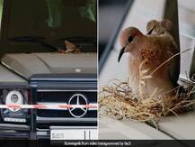 दुबई के क्राउन प्रिंस ने पक्षी के घोंसला बनाने पर मर्सिडीज का इस्तेमाल बंद किया, सोशल मीडिया यूजर्स ने की तारीफ