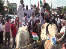 उत्तराखंड: पूर्व सीएम हरीश रावत ने बैलगाड़ी पर निकाली तिरंगा यात्रा, बदहाल सड़कों की तरफ सरकार का ध्यान खींचा