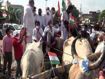 तिरंगा यात्रा में कोरोना संबंधी दिशा-निर्देशों का उल्लंघन करने पर हरीश रावत के खिलाफ मुकदमा दर्ज