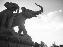 यूपी: हमीरपुर का ये चिड़ियाघर है बेहद खास, इस वजह से पूरे देश में हुआ मशहूर