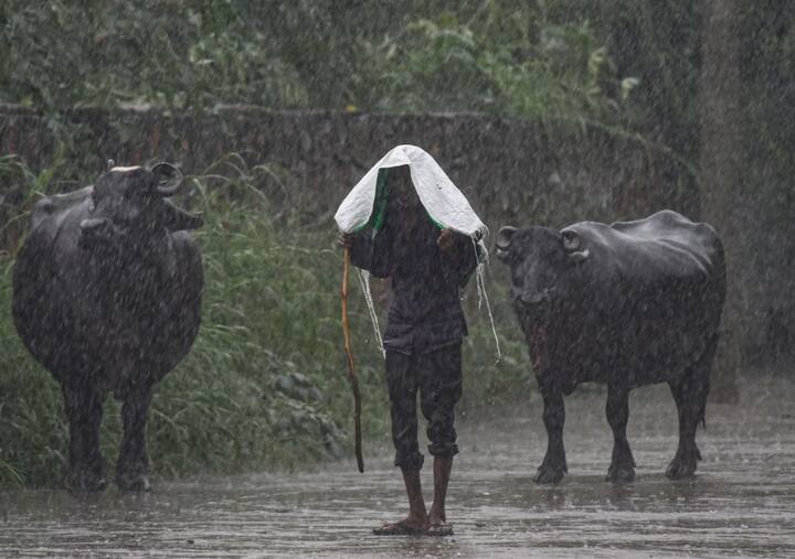 भारतीय मौसम विज्ञान विभाग ने बताया कि दिन में और बारिश होने की संभावना है.