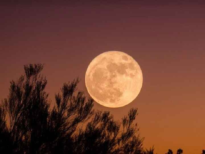 Do not see the moon on Ganesh Chaturthi day, know what is the reason गणेश चुतर्थी के दिन क्यों नहीं करते हैं चंद्रमा के दर्शन, जानें क्या है कारण