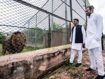 तस्वीरें: अखिलेश यादव के साथ इटावा के सफारी पार्क घूमने पहुंचे तेज प्रताप यादव