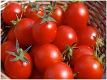 टमाटर में छिपा है चेहरे की खूबसूरती का राज, रंग में भी पैदा करता है निखार