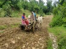 मध्य प्रदेश: बालाघाट में बैलगाड़ी में हुआ बच्चे का जन्म, नहीं पहुंच सकी एम्बुलेंस