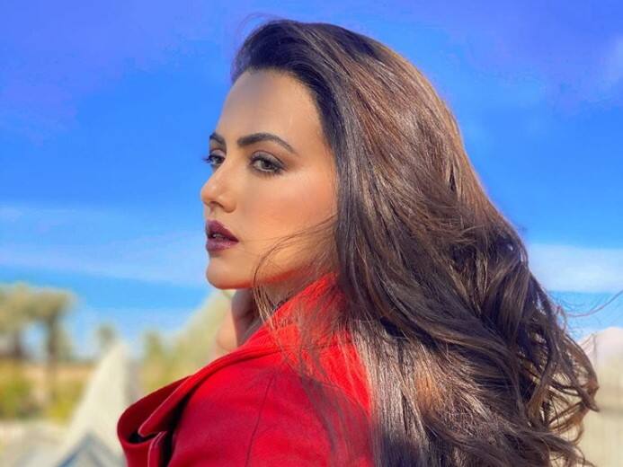 sana khan turns 33, got fame from salman khan's show bigg boss 33 साल की हुईं सना खान, सलमान खान के शो 'बिग बॉस' से आई थीं सुर्खियों में