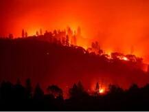 देहरादून: फायर सीजन के मद्देनजर जंगलों में आग पर काबू पाने के लिए वन विभाग पूरी तरह तैयार