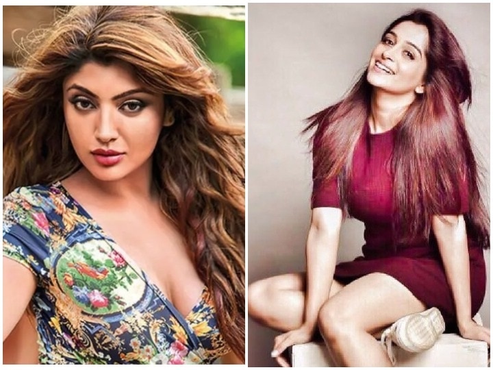 Amir Ali to Deepika Kakkad these Popular Tv Stars Who Started Their Career as an Air Hostess टीवी के ये मशहूर सितारे एक्टर बनने से पहले कर चुके हैं एयर होस्टेस और फ्लाइट अटेंडेंट का काम