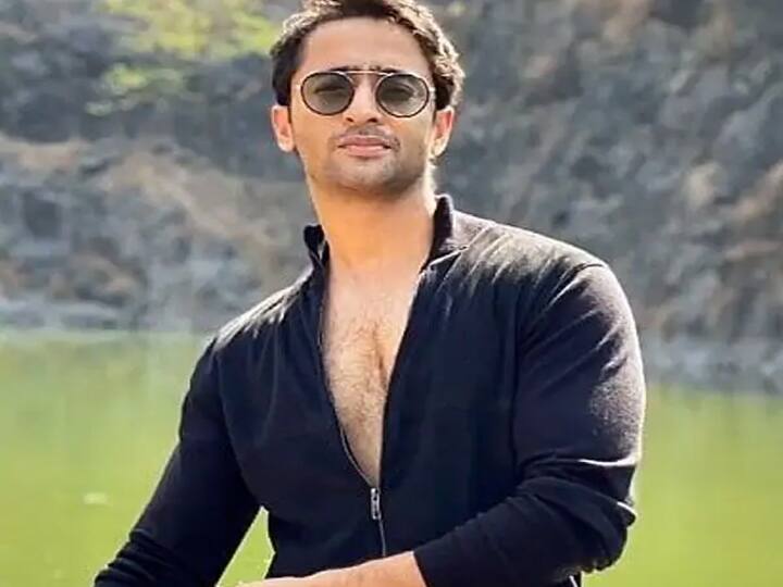 भारत के साथ-साथ इंडोनेशिया में भी शाहीर शेख की लोकप्रियता देखते ही बनती है. इंडोनेशिया में शाहीर शेख ने एक प्रोडक्शन हाउस खोला हुआ है.