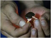 ड्रग्स सेहत के लिए कितने नुकसानदेह हैं, जानिए दुनिया के खतरनाक नशीले पदार्थों के बारे में