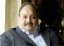 नेटफ्लिक्स की वेब सीरीज के खिलाफ हाईकोर्ट पहुंचा मेहुल चोकसी