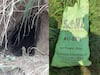 जम्मू-कश्मीर: BSF को सांबा में मिली 20 फीट लंबी सुरंग, पाकिस्तान में बने बोरियों से छुपाया गया था