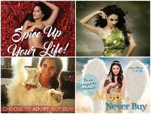 आलिया भट्ट से सनी लियोन तक, इन स्टार्स ने PETA के सपोर्ट के लिए करवाया फोटोशूट