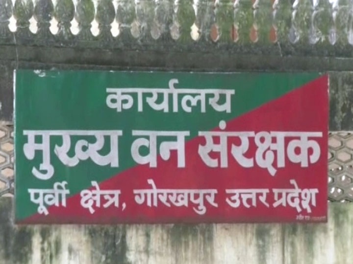 गोरखपुर: ग्राहक बनकर पहुंची फारेस्‍ट टीम ने दुकान से बरामद किए दुर्लभ कछुए, दो गिरफ्तार