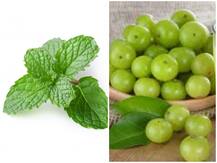 Health Tips: इन जड़ी बूटियों में छिपे हैं गर्म तापमान से राहत पहुंचाने के राज, जानिए इस्तेमाल के साधारण नुस्खे