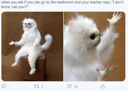 कक्षा में शिक्षक से बाथरूम जाने की बात पर भी मीमर्स ने मीम बना.