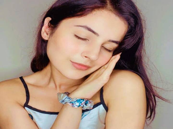 आपको बता दें, बिग बॉस 13 में शहनाज की मासूमियत पर दबंग खान भी पिगल गए थे. वहीं शहनाज के मस्तमौला मिसाज का हर कोई दीवाना हुआ था. वहीं शो में  अपने मजाकिया अंदाज से वो अपने दर्शकों का मनोरंजन करती नजर आई थी. 