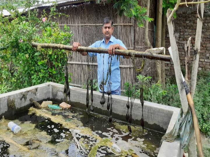 समस्तीपुर: घर लौटे प्रवासियों के लिए मोती की खेती बना सुनहरा अवसर, राजकुमार देंगे प्रशिक्षण Samastipur: Pearl cultivation becomes a golden opportunity for returned migrants, Rajkumar will train ann समस्तीपुर: घर लौटे प्रवासियों के लिए मोती की खेती बना सुनहरा अवसर, राजकुमार देंगे प्रशिक्षण