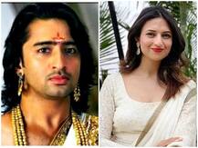 शहीर शेख से लेकर दिव्यांका त्रिपाठी तक, टीवी के ये 5 स्टार शूटिंग के अलावा यहां से भी कमाते हैं करोड़ों रुपये