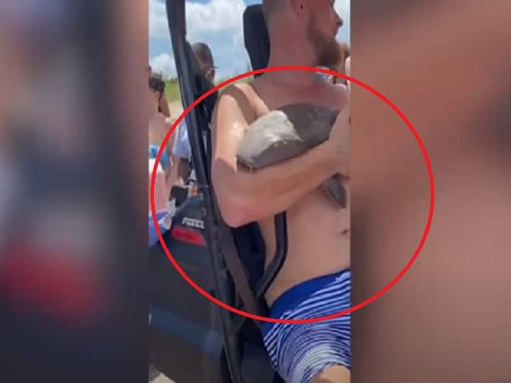 In america little shark caught the arm of the person in sea to enjoy swimming know what happened then Viral Video: तैराकी के लिए समुद्र में उतरे शख्स की बांह को शार्क ने पकड़ा, जानें फिर क्या हुआ