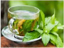 दालचीनी-हल्दी को ग्रीन टी में कैसे करें शामिल, इम्युनिटी बढ़ाने समेत कई फायदे होते हैं हासिल