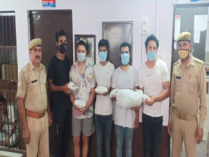 नोएडा: पुलिस के हत्थे चढ़ा ऑनलाइन गांजा बेचने वाला गिरोह, पांच गिरफ्तार, मजिस्ट्रेट का बेटा शामिल Noida Police busted gang who sell ganja online नोएडा: पुलिस के हत्थे चढ़ा ऑनलाइन गांजा बेचने वाला गिरोह, पांच गिरफ्तार, मजिस्ट्रेट का बेटा शामिल