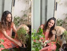 VIDEO: सुशांत सिंह की याद में अंकिता लोखंडे ने लगाए पौधे, सुशांत सिंह राजपूत का 11वां सपना पूरा किया