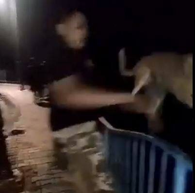 क्रूरता की हद: भोपाल में मजे के लिए युवक ने जिंदा कुत्ते को तालाब में फेंका, मामला दर्ज