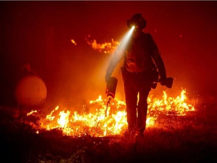 35 people died in forest fire in America with which 50 people looks missing  अमेरिका में जंगल में लगी आग से अब तक 35 लोगों की मौत, 50 के करीब लापता