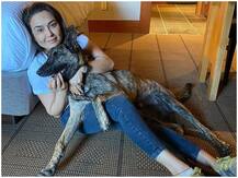 प्रीति जिंटा ने तीसरी बार कराया कोरोना टेस्ट, जानिए कैसी रही रिपोर्ट