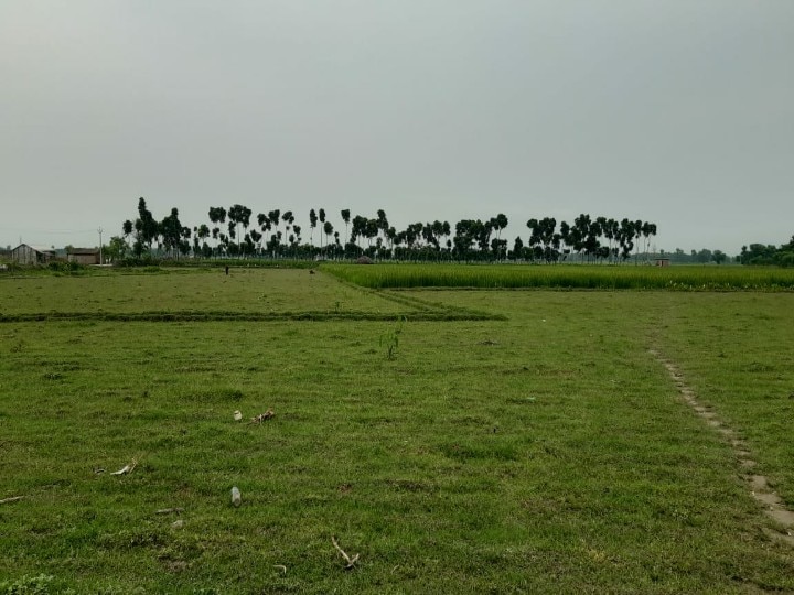 इतिहास के पन्नों में सिमटा कुर्सेला का गौरव माना जाने वाला हवाई अड्डा, अब रन-वे पर खेती करते हैं लोग