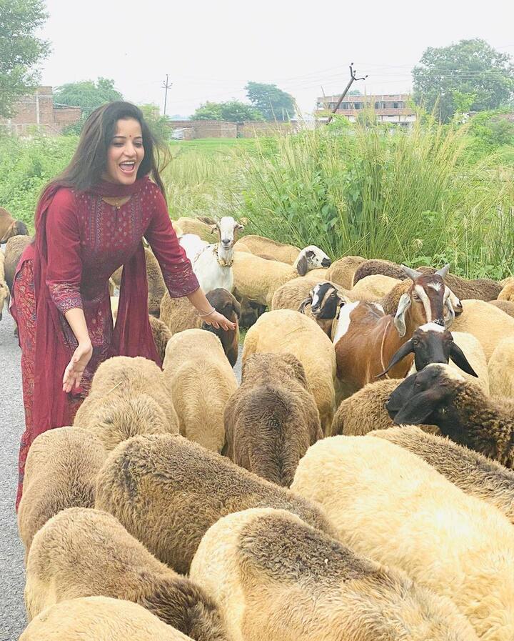 गांव में उन्होंने भेड़ों के साथ मस्ती भी की. उनकी यह तस्वीर भेड़ों के बीच में है. उनके साथ उनके पति विक्रांत सिंह राजपूत भी रहें. 
