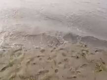 यूपी: बस्ती में सरयू की कटान में समाई युवती, गोताखोर कर रहे हैं तलाश