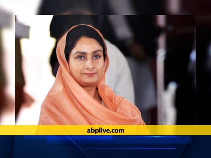 Exclusive: हरसिमरत कौर बादल ने कहा- इस्तीफा देना मजबूरी नहीं, जरूरी था Exclusive agriculture bill Harsimrat Kaur Badal said It was necessary to resign Exclusive: हरसिमरत कौर बादल ने कहा- इस्तीफा देना मजबूरी नहीं, जरूरी था