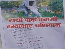 रायबरेली: हाथी पार्क पर अवैध कब्जे को लेकर भाजपा नेता आमरण अनशन पर, जिला पंचायत पर लगाये गंभीर आरोप