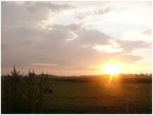 Vitamin D: क्या बीमार पड़ने से बचाने में मददगार साबित हो सकता है? जानें जरूरी बातें