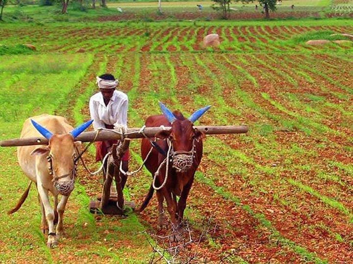 Uttrakhand congress protest against agriculture bill ann उत्तराखंड: मसूरी में कृषि बिल के खिलाफ सड़कों पर संघर्ष करेगी कांग्रेस, प्रदेश उपाध्यक्ष बोले- किसान विरोधी है ये कानून