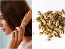Hair care Tips: इलाइची को पीस कर बालों में लगाने से क्या होता है? जानने के बाद करेंगे इस्तेमाल