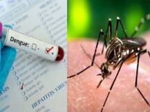 मैनपुरी के इस गांव में फैला डेंगू का प्रकोप, 17 लोगों की हो चुकी है मौत