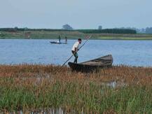 In Pics: कटिहार का गोगाबिल झील प्रवासी पक्षियों का ठिकाना, हर साल आते हैं सैकड़ों प्रजाति के पक्षी