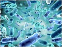 क्या ब्रूसीलोसिस से पुरुषों में होता है बांझपन? जानिए कोरोना वायरस के बीच कहां नई आफत ने दी दस्तक