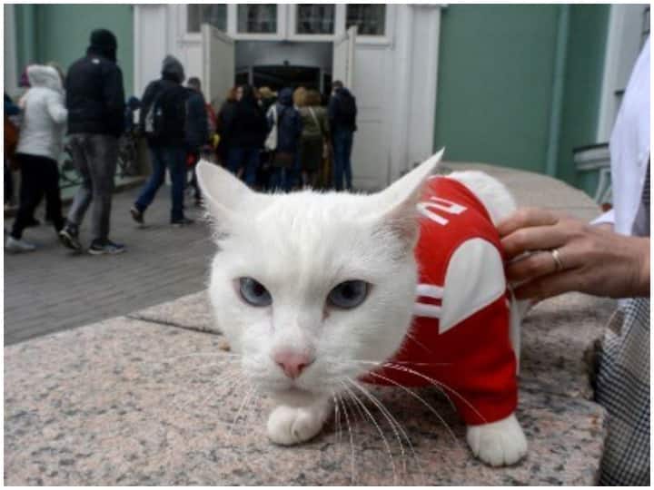 Pet owners suffered less stress in lockdown because animal boosts mental health and reduces loneliness: study पालतू जानवरों ने लॉकडाउन में मालिकों के मानसिक स्वास्थ्य को मजबूत बनाने का किया काम-शोध